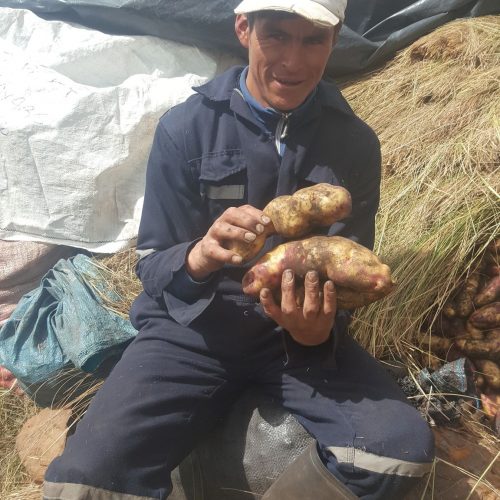 106561731_270666240700148_7876149689829899765_n