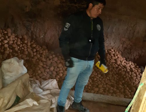 106913527_2624358304487982_9128256559995980286_n