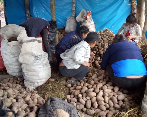 154723018_3792953164122353_1142062776889593006_n