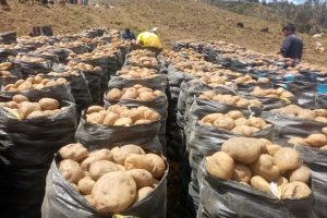 198506703_309282404190952_5444307405177097986_n