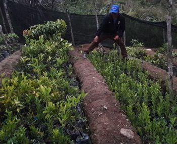 67918235_905886389772248_531672678721912832_n