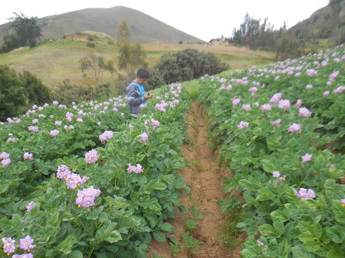 83954349_1097646653915177_9097355913978707968_n