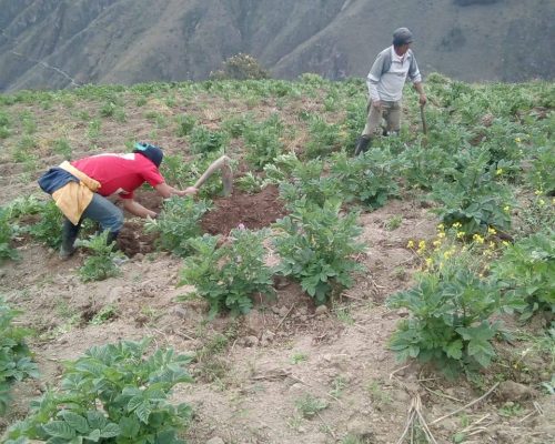 94588662_688201971956425_3951012644055416832_n